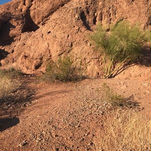 Meet your Posher, Sonja